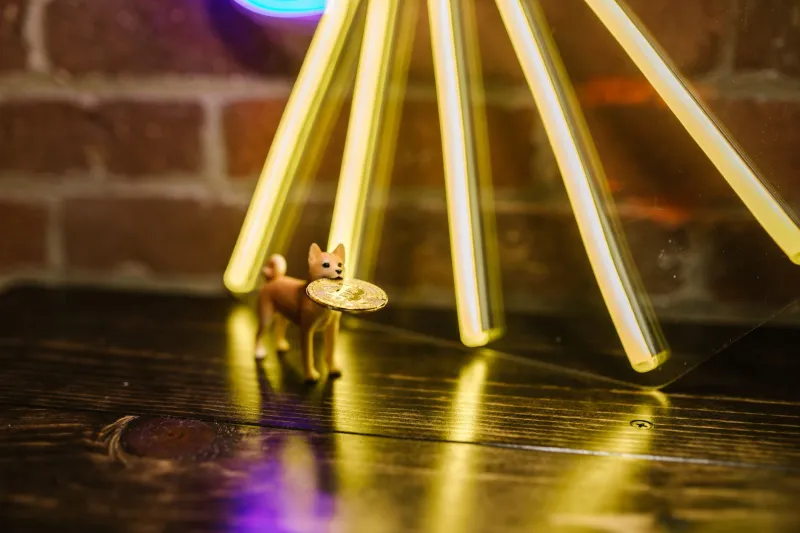 Free Money Isn't Free: The Cold Math Behind Crypto Casino Bonuses