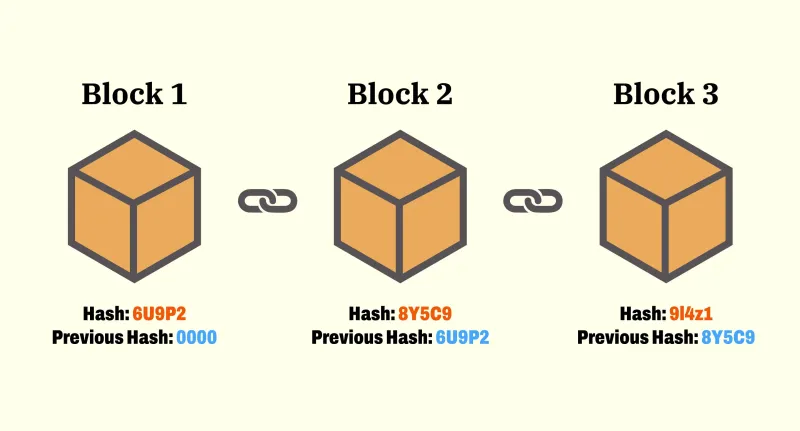Blockchain Doesn't Lie, But the Casino Might: Decoding the Hidden Edge in Crypto Gambling